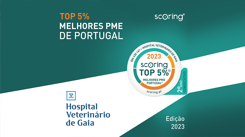 Hospital Veterinário de Gaia, novamente, nas TOP 5% melhores PME de Portugal